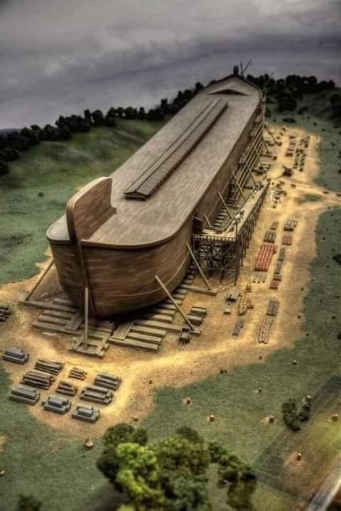  This is why Noah’s Ark didn’t sink