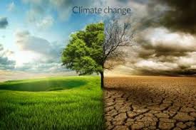  Lets unity for a health planet- Minister of Green economy