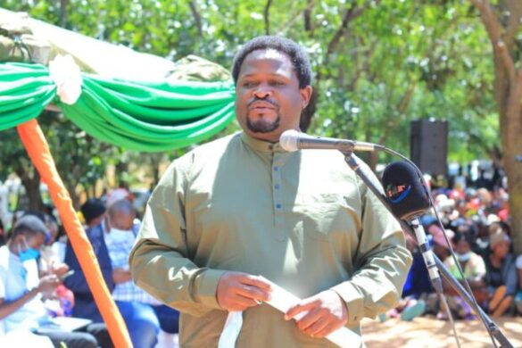  Chiteme calls for protection, sustainable use of forests