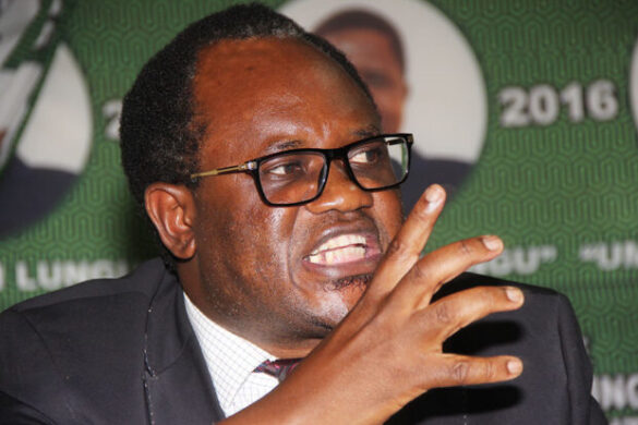  Govt shouldn’t sacrifice local businesses for exports – Mundubile