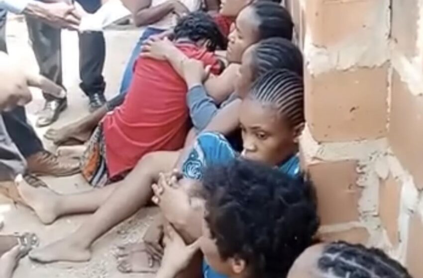  The brave and courageous: Pamela and 12 others rescued