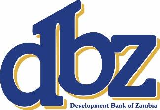  DBZ partners with Norsad Capital to inject capital into local economy