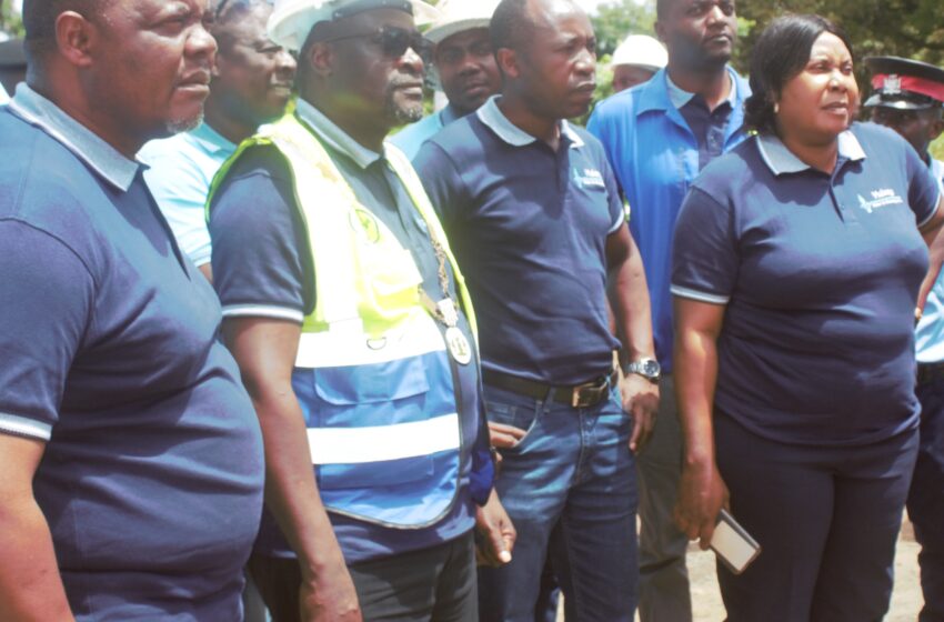  Work hard, increase water supply-Mulonga water told